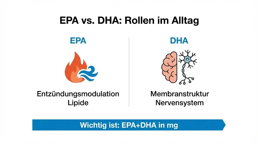 AI Prompt: Minimalistische Swiss-Style Vektor-Infografik auf reinweißem Hintergrund, strenges Raster-Layout, schwarze/anthrazit Typografie, dezenter Akzent in Blau, keine Logos, keine Marken, keine Wasserzeichen, keine Fotografie, keine 3D-Effekte, keine unlesbare Schrift, extrem hohe Lesbarkeit. Titel oben: „EPA vs. DHA: Rollen im Alltag“. Zwei Spalten: links „EPA“ mit Icon Flamme + Dämpfer und Bulletpoints „Entzündungsmodulation“, „Lipidstoffwechsel“; rechts „DHA“ mit Icon Gehirn/Neuron und Bulletpoints „Membranstruktur“, „Nervensystem/Sehfunktion“. Unten ein klarer Balken: „Wichtig: EPA + DHA in mg vergleichen“. Viel Weißraum, saubere Kanten, 4K, ultra sharp.